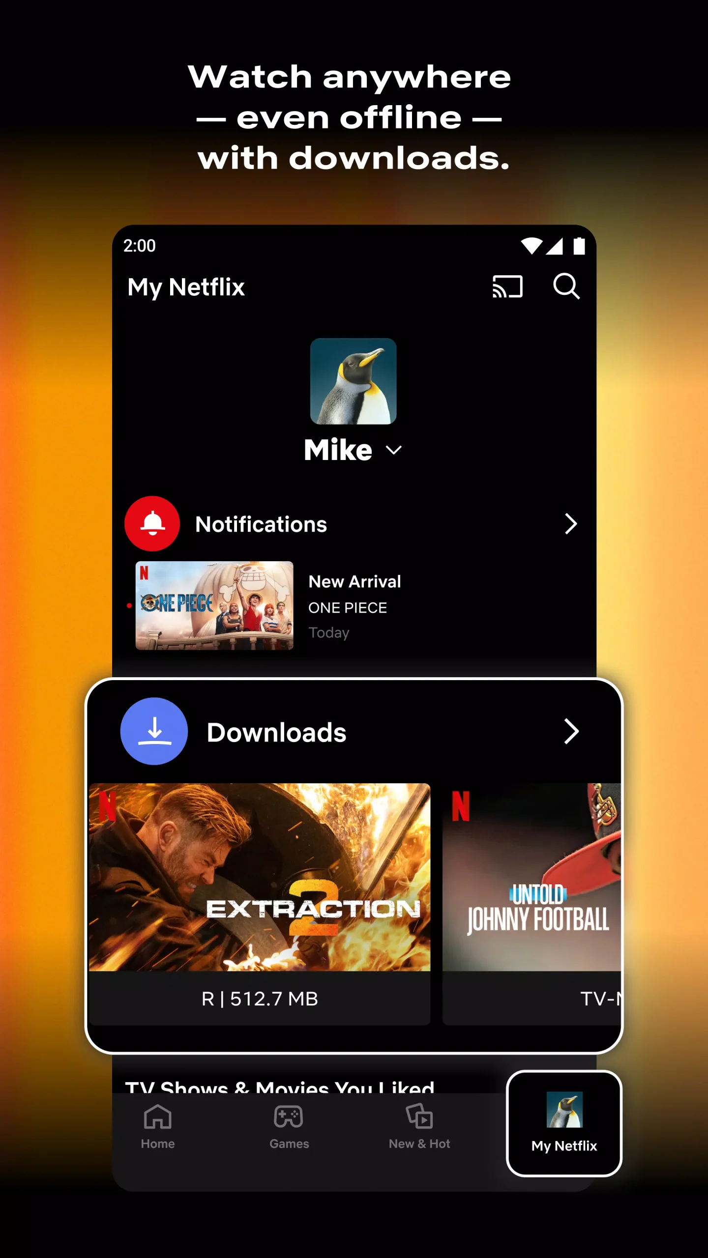 Netflix APK Download Latest Version for Android 2